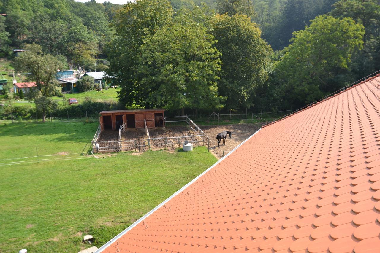 Hotel Podskalni Mlyn Ostopovice Exteriér fotografie